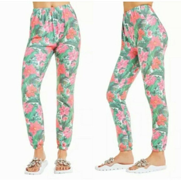 NWT Wildfox Poinsettia Green‎ Pink Floral Jogger Lightweight Sweatpants XS - Picture 1 of 4
